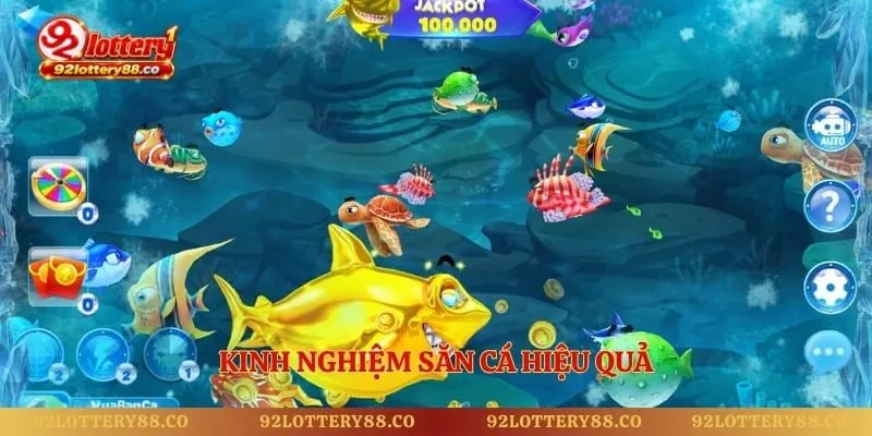 Kinh nghiệm săn cá hiệu quả