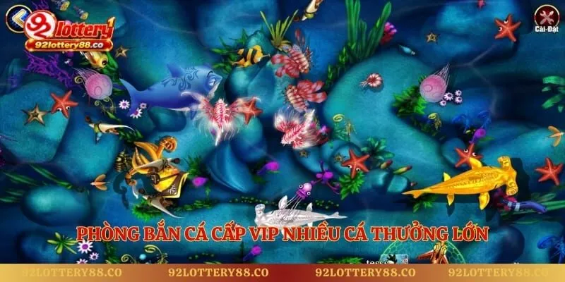 Phòng bắn cá cấp vip nhiều cá thưởng lớn